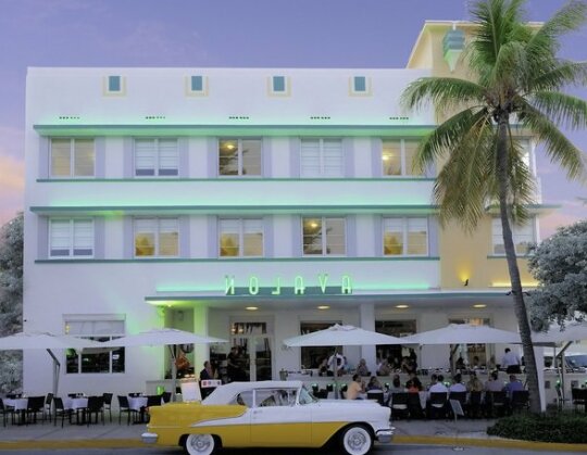Avalon Hotel Miami Beach - Photo2