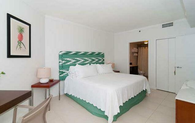 One-Bedroom Apartment in Miami Coconut Grove 2104