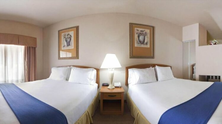 Holiday Inn Express Hotel & Suites Mission-McAllen Area - Photo3