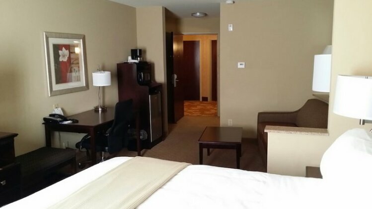 Holiday Inn Express Hotel & Suites Mobile West - Photo5