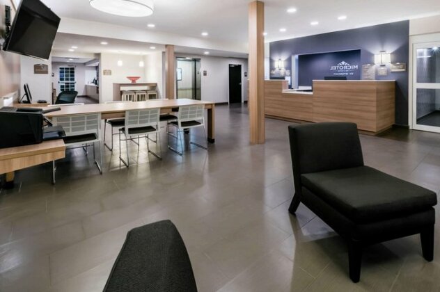 Microtel Inn and Suites by Wyndham Monahans - Photo2