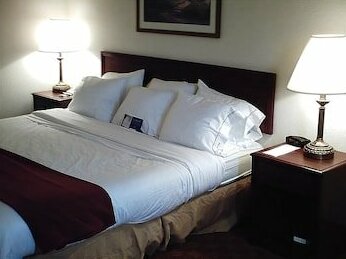 Holiday Inn Express Murrysville - Delmont - Photo4