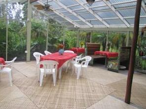 Hula Hut - Photo5