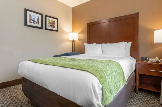 Comfort Inn & Suites Jamaica New York City - Photo2