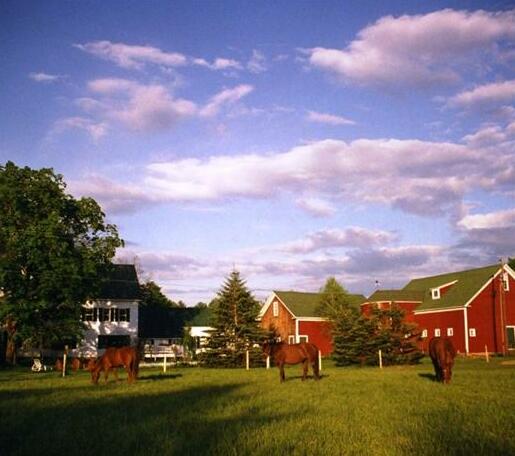 Farm by the River Bed and Breakfast with Stables