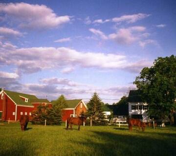 Farm by the River Bed and Breakfast with Stables