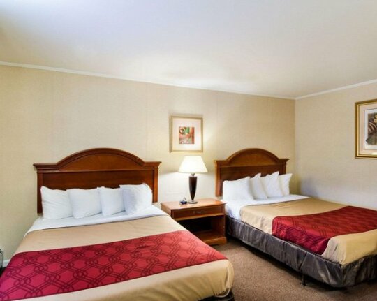 Econo Lodge Inn & Suites Northborough - Photo3