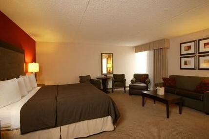 Holiday Inn Olathe-Great Plains Mall Area - Photo3