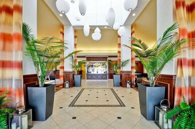 Hilton Garden Inn Tampa Northwest/Oldsmar - Photo4