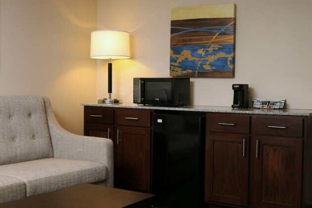 Holiday Inn Express & Suites Omaha South Ralston Arena - Photo5