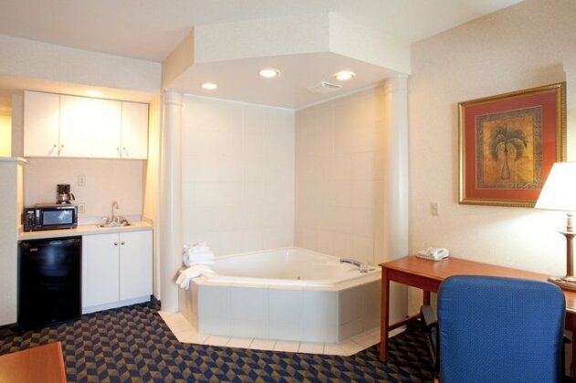 Holiday Inn Express Hotel & Suites Orangeburg - Photo4
