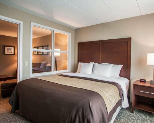 Quality Inn & Suites Orland Park - Photo2