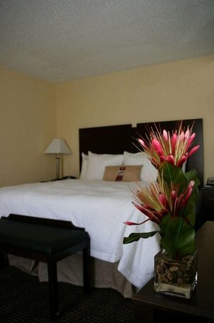 Hampton Inn & Suites Orlando-John Young Parkway/South Park - Photo5