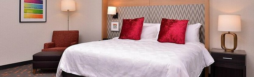 Holiday Inn & Suites - Orlando - International Dr S