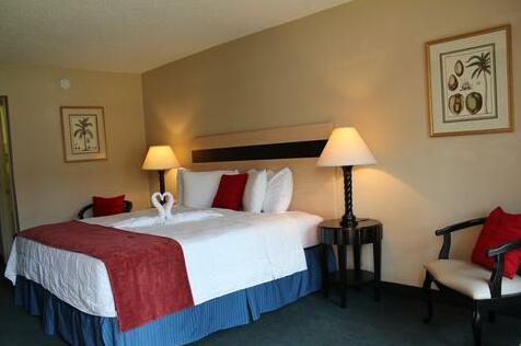 Roomba Inn & Suites Orlando - Photo3