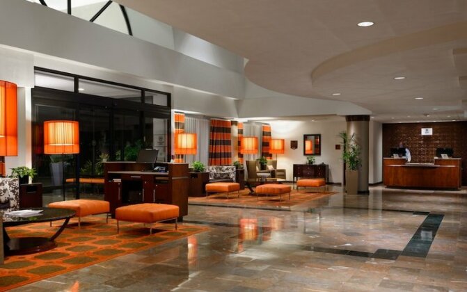 Sheraton Suites Orlando Airport Hotel - Photo3