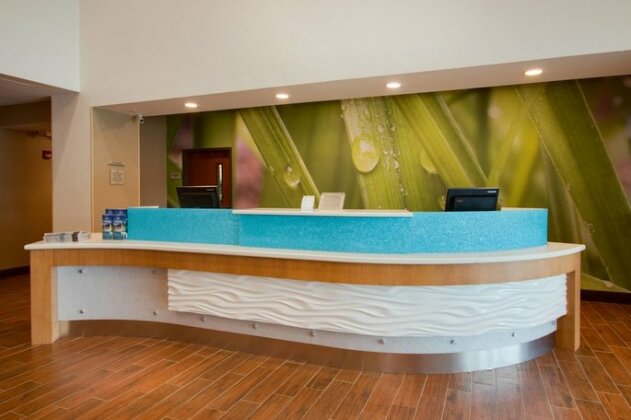 SpringHill Suites by Marriott Orlando Kissimmee - Photo4