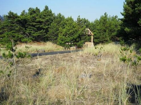 Shorepine Vacation Rentals - Photo3