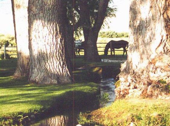 Stonehouse Country Inn - Photo4