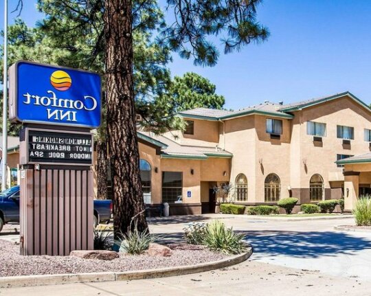 Comfort Inn Payson - Photo3