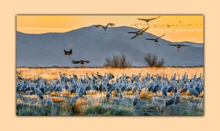 Hummingbird Ranch Vacation Rental - Photo4
