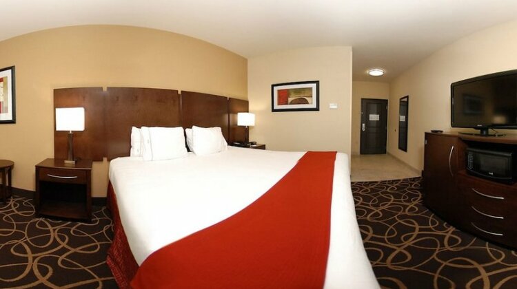 Holiday Inn Express & Suites Houston South - Near Pearland - Photo5