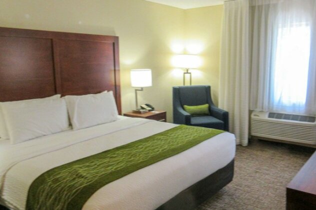 Comfort Inn & Suites Phoenix North / Deer Valley - Photo2