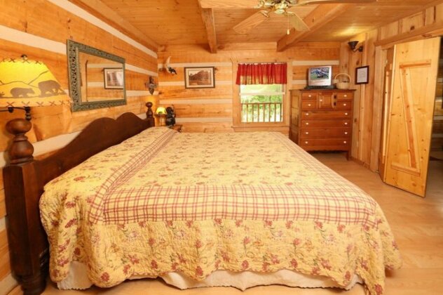 Bear Nekkid 1 Bedroom 1 Bathroom Cabin - Photo5