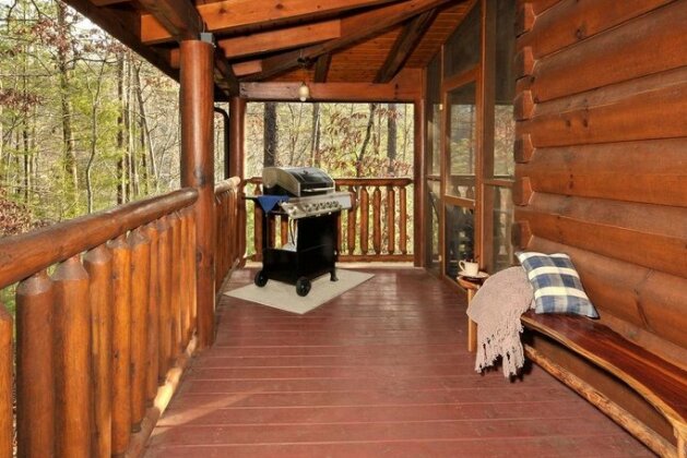 Enchanted Forest - Photo2