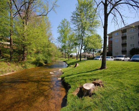MainStay Suites Conference Center Pigeon Forge - Photo2
