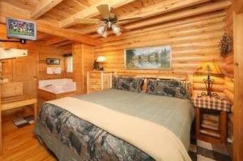 Smoky Cascades - One Bedroom - Photo5