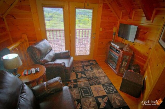 Starry Nights 222 - Two Bedroom Cabin - Photo5