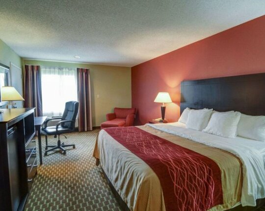 Quality Inn & Suites Pine Bluff - Photo3