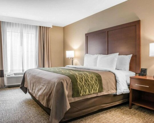 Comfort Inn & Suites Pittsburgh - Photo2