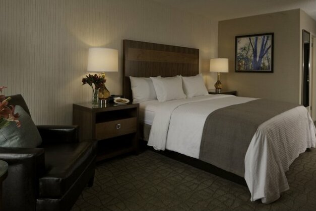 DoubleTree by Hilton Pittsburgh-Green Tree - Photo5