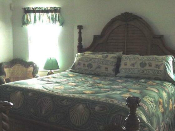 Tropical Paradise Bed & Breakfast - Photo4