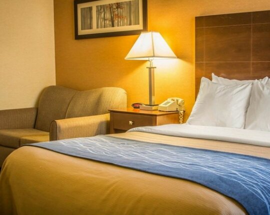 Quality Inn & Suites Port Huron - Photo3