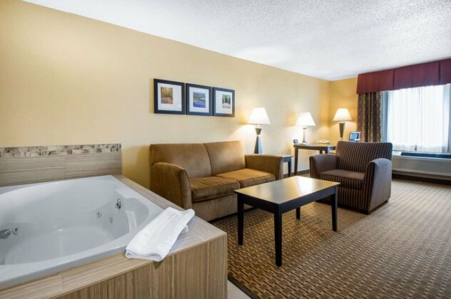Comfort Suites Wisconsin Dells Area - Photo5