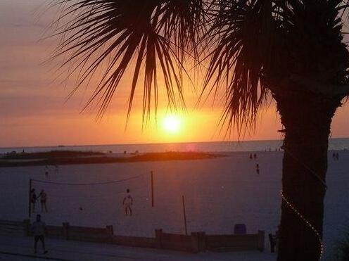 Beach Palms - Photo5
