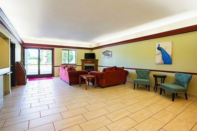 Econo Lodge Inn & Suites Ripley - Photo4