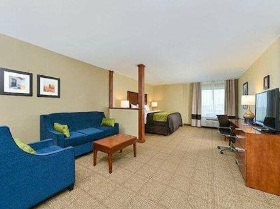 Comfort Inn & Suites- Rochester