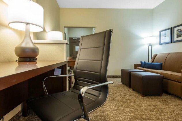 Comfort Suites Rochester - Photo4