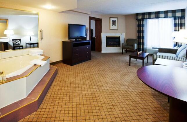 Holiday Inn Hotel & Suites Wausau-Rothschild - Photo4