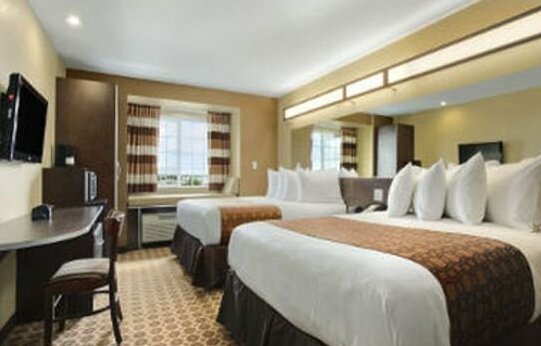 Microtel Inn & Suites by Wyndham Round Rock - Photo3