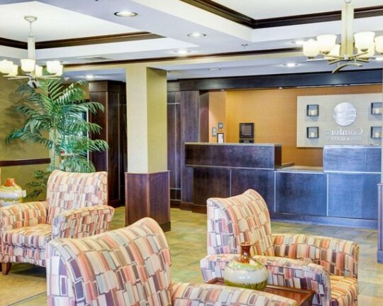 Comfort Inn & Suites Russellville I-40 - Photo3
