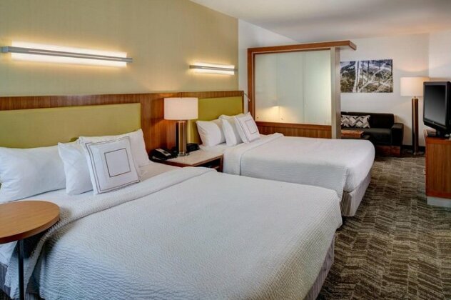 SpringHill Suites by Marriott Saginaw - Photo5