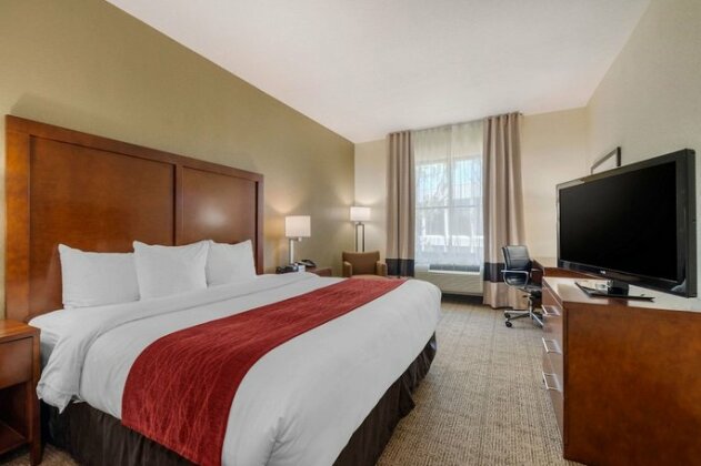 Comfort Inn & Suites Northeast - Gateway - Photo2
