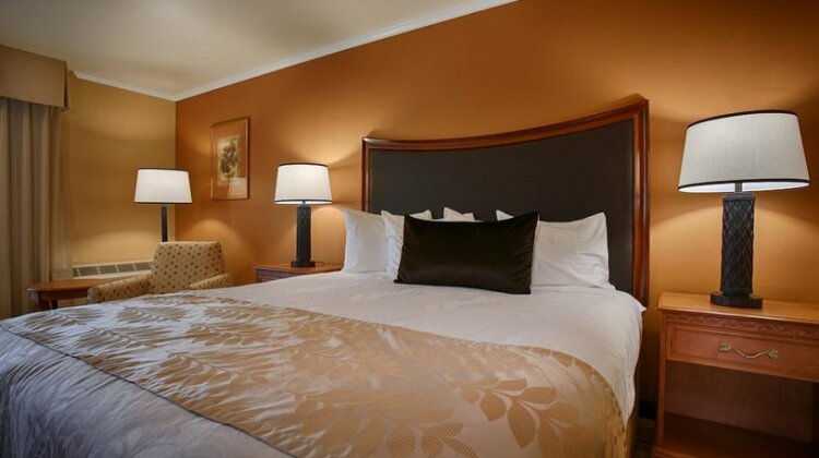 Best Western Plus Royal Oak Hotel - Photo5