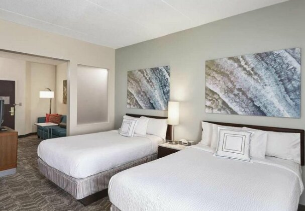 Springhill Suites by Marriott Chicago Schaumburg Woodfield Mall - Photo3