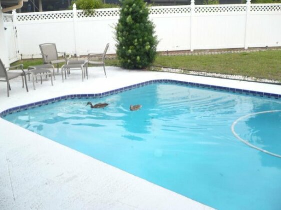 Vacation Rental Indian Rocks or Clearwater Beach - Photo4